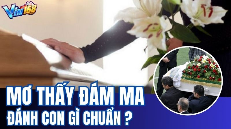 Giải Mã Ý Nghĩa Giấc Mơ Thấy Đám Ma Chuẩn Nhất 2023