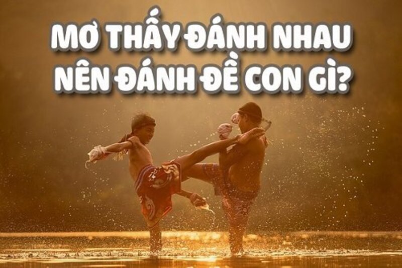 Nằm mơ thấy đánh nhau mang lại điềm báo gì là nỗi băn khoăn của nhiều người